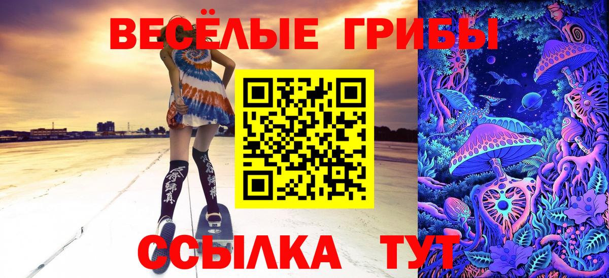 Псилоцибиновые грибы прущие грибы Можга