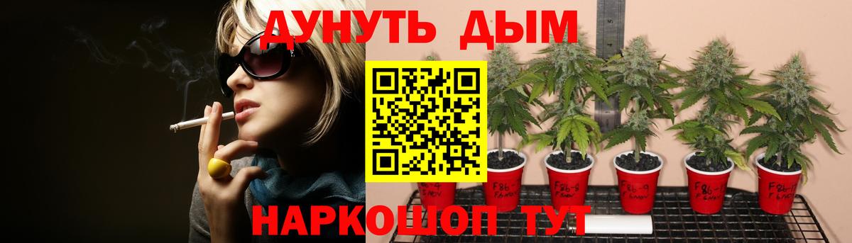 Можга  Шишки марихуана Amnesia  Канабис марихуана  Шишки марихуана план  Вход с VPN 